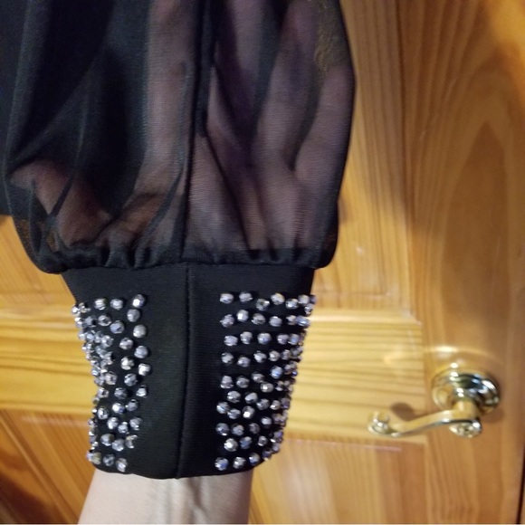 Fancy top sheer sleeves with rhinestones on cuffs - Picture 3 of 7